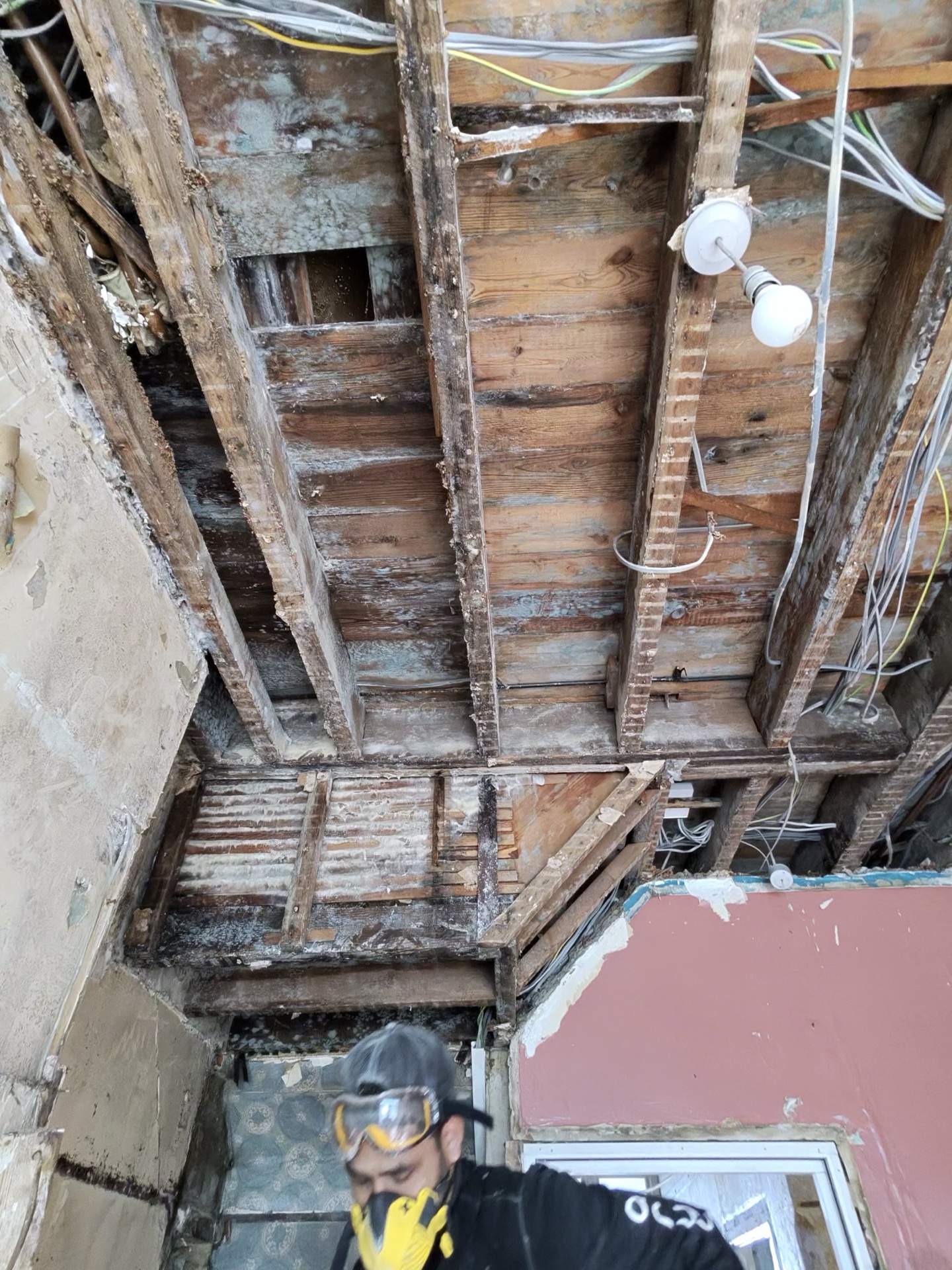 Exposed ceiling joists and wiring – kitchen demolition